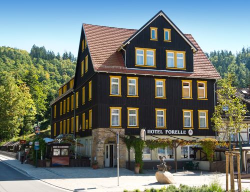 Mehr Informationen über Ferien Hotel und Restaurant Forelle*** in Thale OT Treseburg
