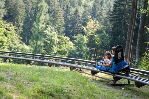 Tausend Meter geht es mit teilweise 40 km/h talwärts - ab 8 Jahren dürfen Kinder allein rodeln, ab 3 Jahren mit Begleitung. (Foto: Seilbahnen Thale GmbH)