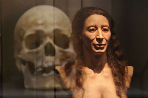 Vorfahren aus der Bronzezeit - Das moderne Museum stellt die bislang älteste genetisch nachgewiesene Großfamilie vor. Hier das Gesicht einer Mutter, Gesichtsrekonstruktion von WILD LIFE ART, Breitenau