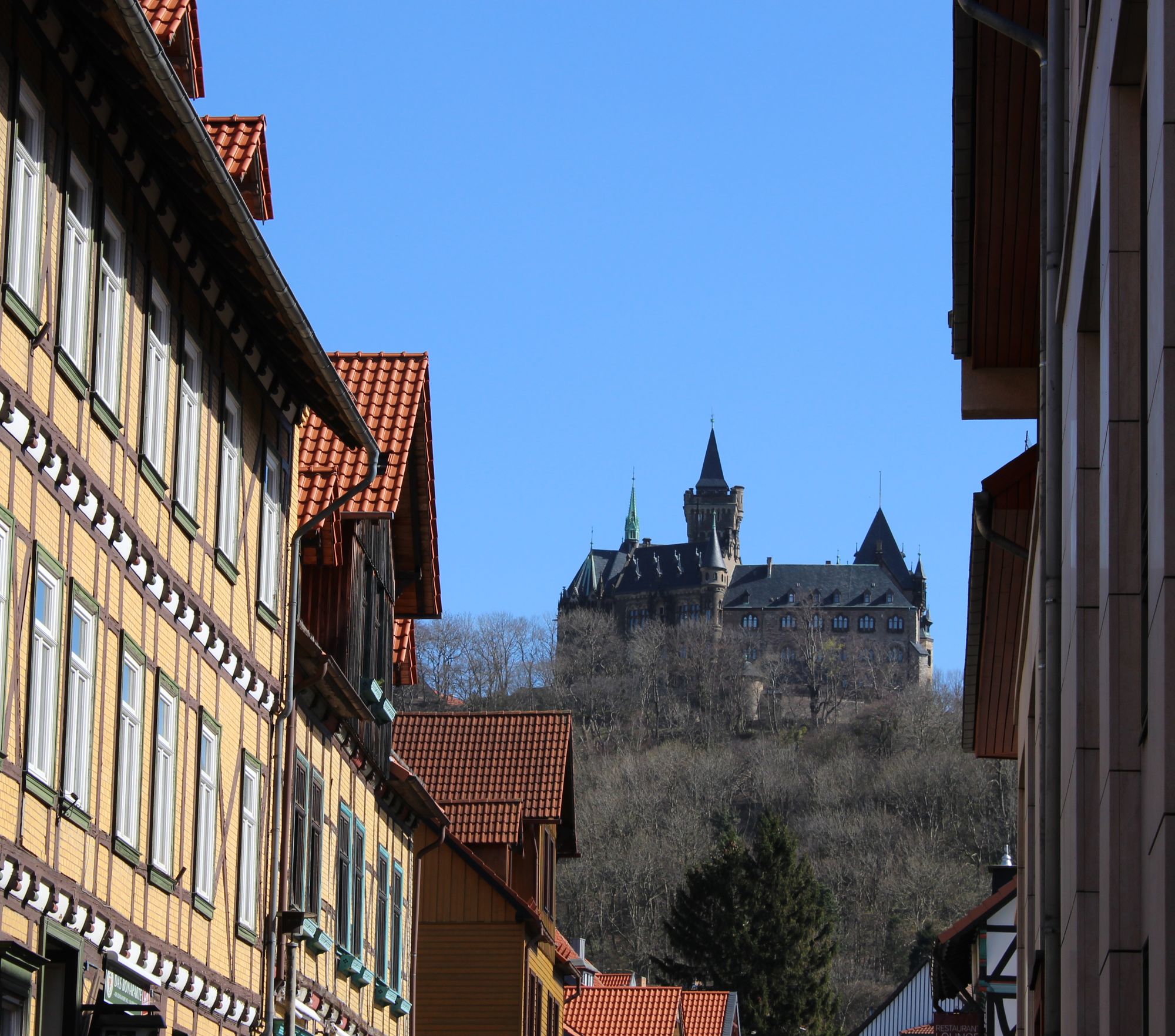 Das Schloss ragt hoch über den Dächern von Wernigerode.<br>(Bild: harztourist)