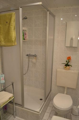 Helles Bad mit Dusche, Wc und Fenster zum Lüften. (Bild: E. Schrader)