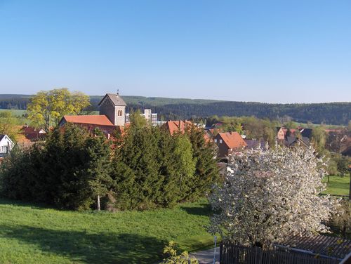 Blick auf den idyllisch gelegenen Harzort Allrode.<br>(Bild: FA Harzfreunde)