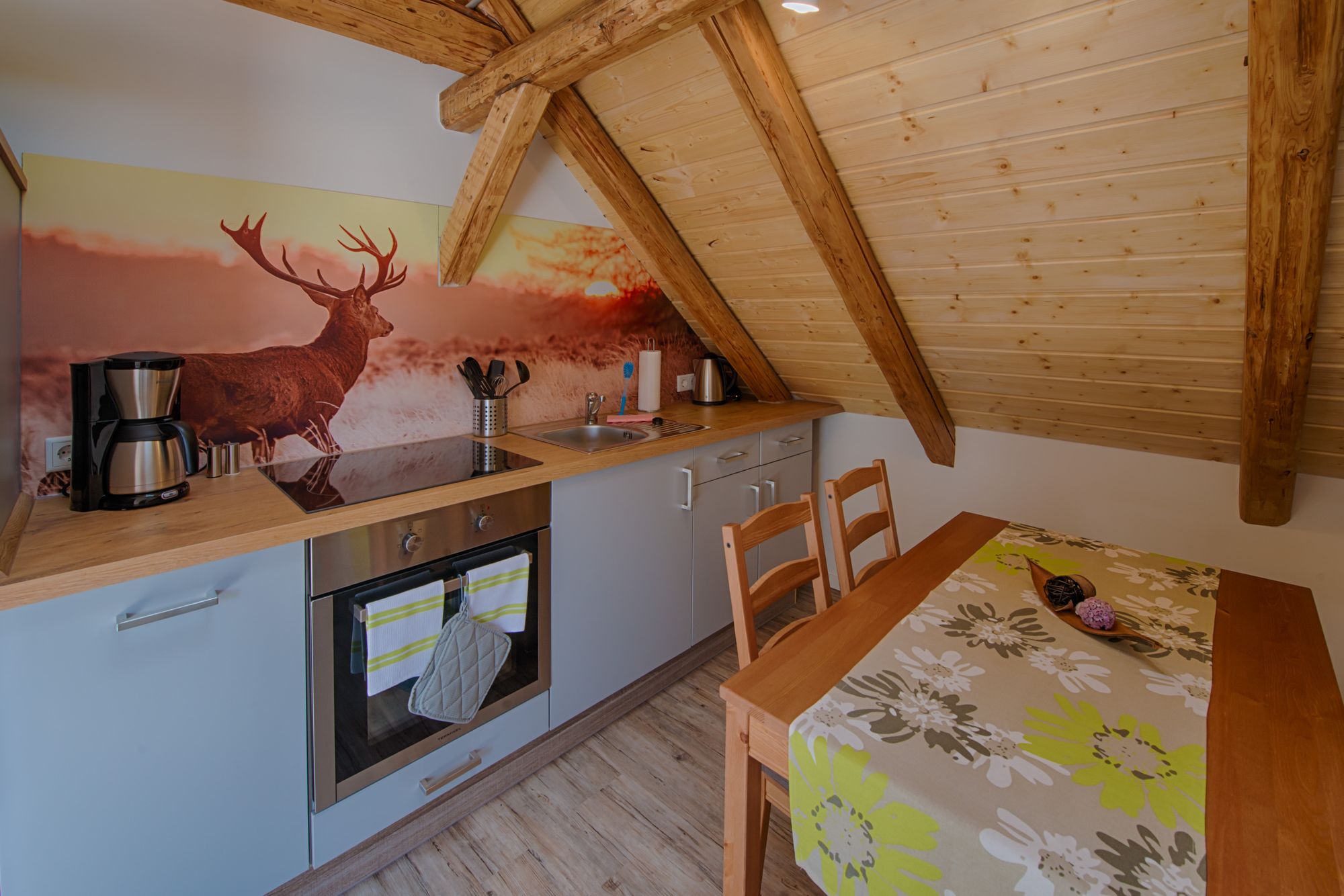In allen Ferienwohnungen sind voll ausgestattete und moderne Küchen. (Bild: Harz-IT GmbH)
