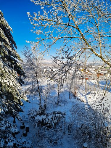 Winter-Impressionen aus dem Harz<br>(Bild: Fam. Härter)