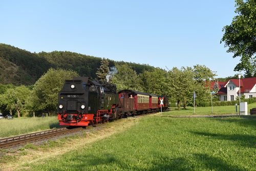 Die Harzer Schmalspurbahn fährt in direkter Nähe vorbei...<br>(Bild: J. Matthes)