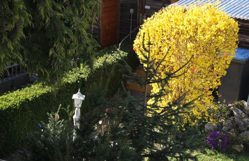 Ausblick im Frühling in den kleinen Gartenbereich der Ferienwohnungen Weithauer.<br>(Bild: harztourist)