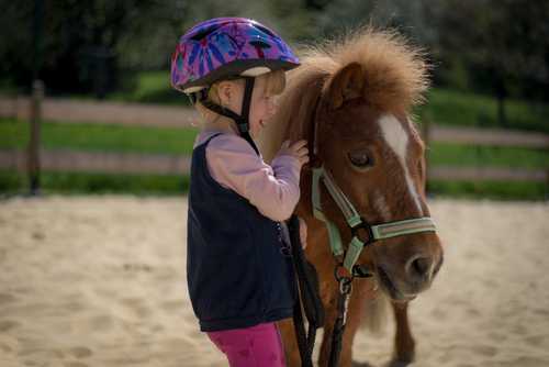 Kinder- und Therapiereiten auf Anfrage vor Ort möglich - hier Pony Sonja. (Bild: Fam. Fischer)