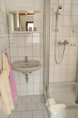Helles Bad mit Dusche und WC.<br>(Bild: A. Hecht)