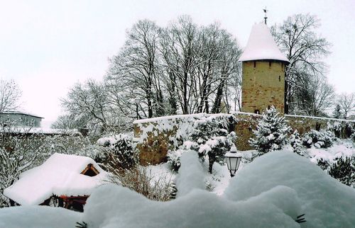 Winterimpression aus der Pension Rosenthal auf die Stadtmauer<br>(Bild: Frau Rosenthal)
