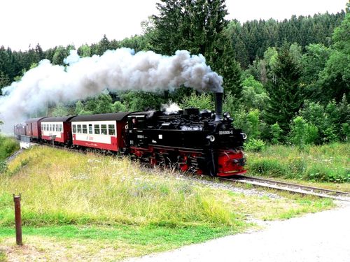 Unsere berühmte Harzer Schmalspurbahn in voller Fahrt...<br>(Bild: Fam. Pape)