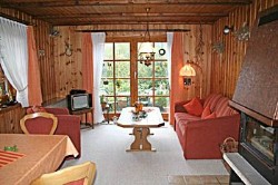 Unsere Souterrain-Ferienwohnung 2 - Wohnzimmer mit Kamin.<br>(Bild: Fam. Grabenhorst)