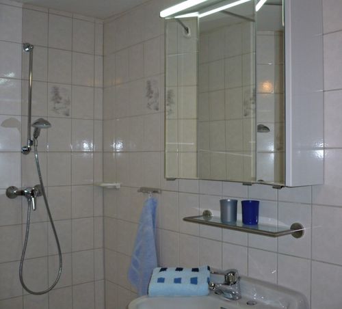 Modernes Bad mit DU/WC und Fön.<br>(Bild: Fam. Peinemann)