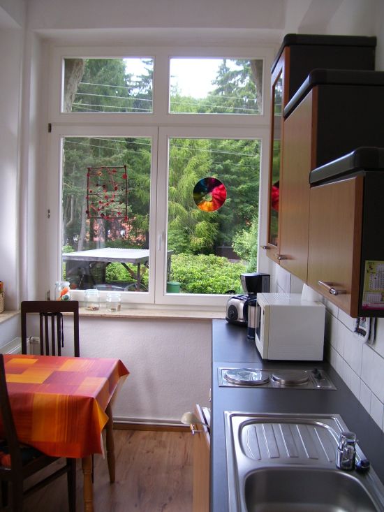 Küche mit Blick ins Grüne in der FeWo Heine<br>(Bild: Familie Gräbner)