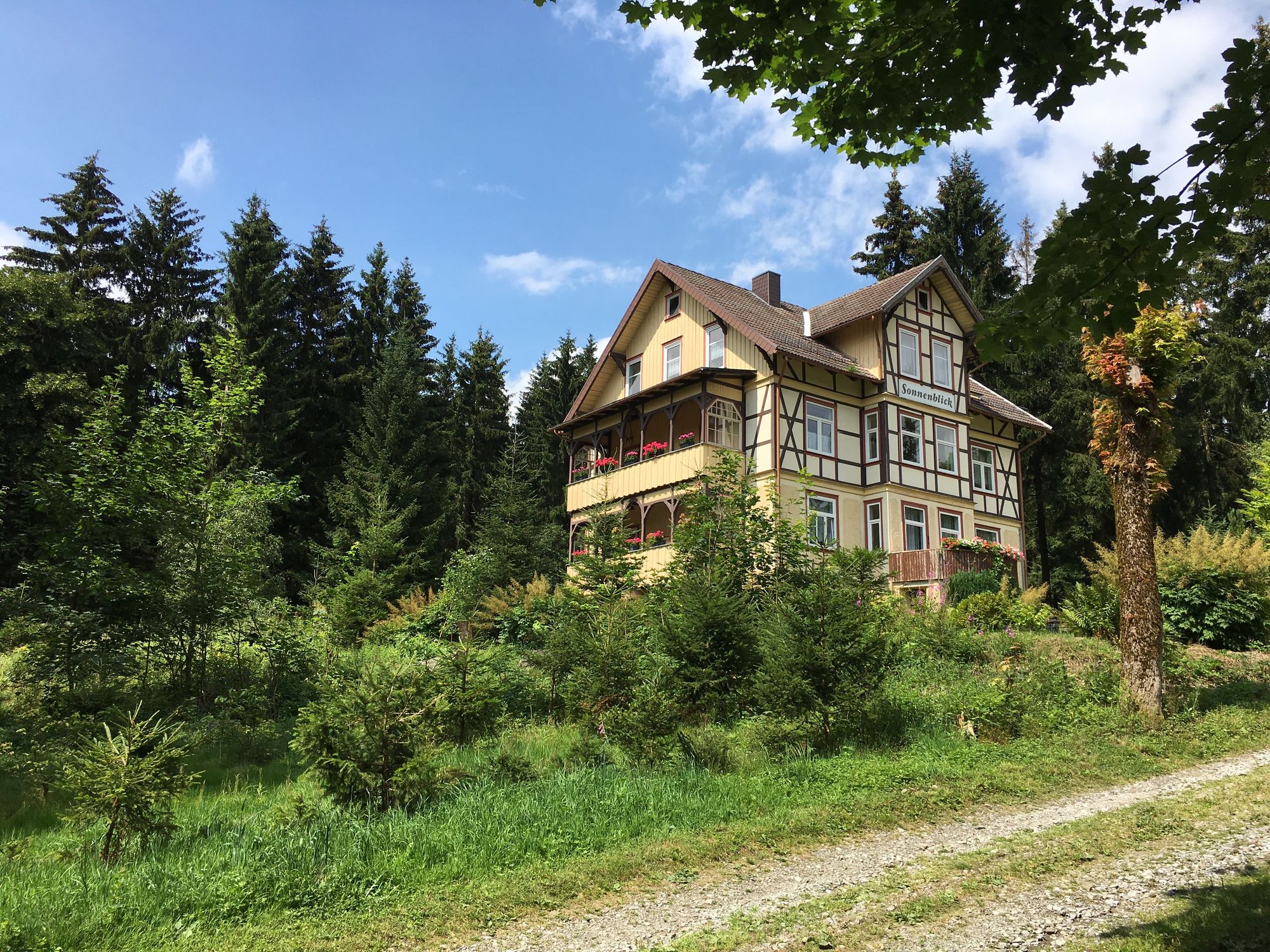 Im Sommer und im Winter ein herrliches Plätzchen zum Erholen mit der ganzen Familie - Haus Sonnenblick im Oberharz! (Bild: Katrin Hocke)