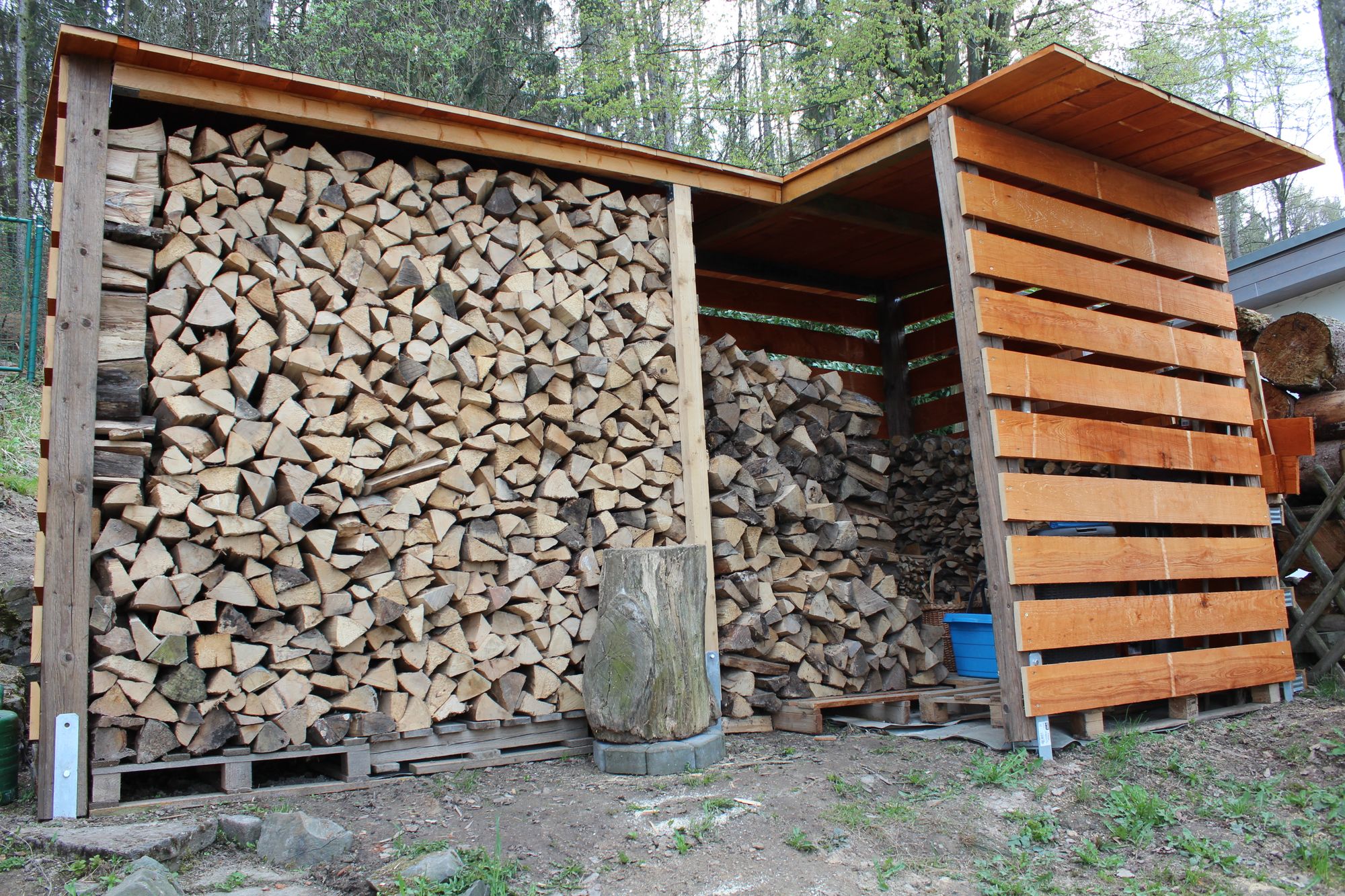Ausreichend Holz ist auf jeden Fall vorhanden.<br>(Bild: Familie Waskewitz)