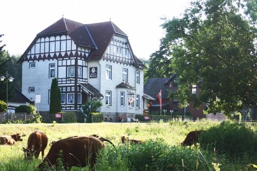 Mehr Informationen über den Gastgeber Pension Bodetal in Oberharz am Brocken OT Elend