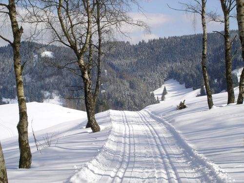 Ein Winterparadies in der kalten Jahreszeit - die gespurte Hasenbergloipe mit 10 km Länge ist eine DSV Premiumloipe. (Bild: Kai Kanafani)
