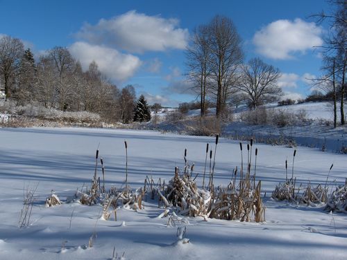 ...auch im Winter sieht die Landschaft einladend aus!<br>(Bild: S. Nordhaus)