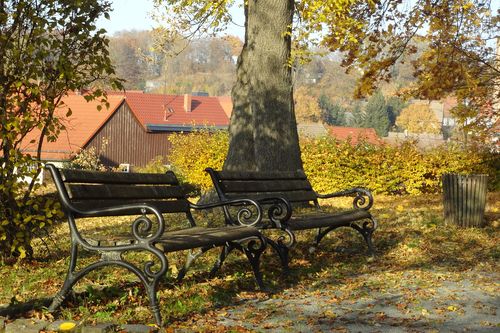 Schlosspark Elbingerode<br>(Tourismusbetrieb der Stadt Oberharz am Brocken©Mandy Leonhardt)