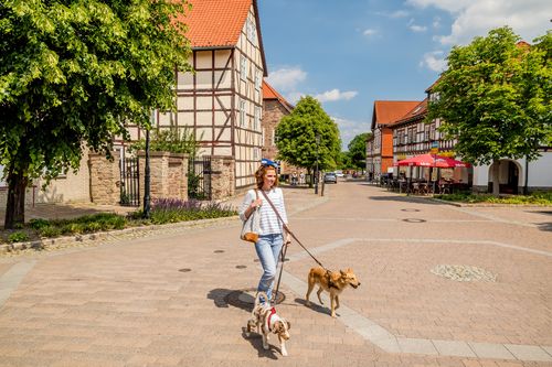 Wir laden Sie ein auf einen Spaziergang durch die hübsche Innenstadt von Ilsenburg mit ihren typischen Fachwerkhäusern. (Bild: Andreas Lander)