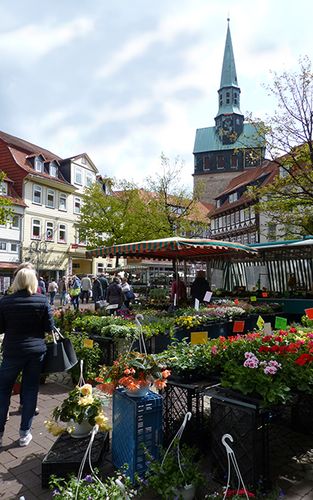 Wochenmarkt - jeden Dienstag und Samstag auf dem Kornmarkt<br>(Bild: Touristinformation Stadt Osterode am Harz)