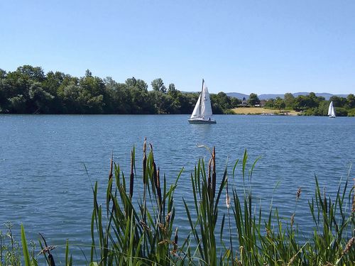 Beliebt ist das Segeln auf dem Vienenburger See.<br>(Bild: Werbeagentur Uwe Loof)