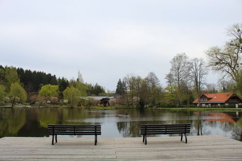 Still ruht der See - der Kurpark von Braunlage<br>(Bild: Braunlage Tourismus Marketing GmbH)