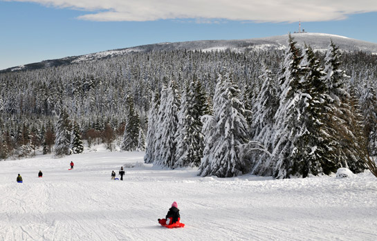 Rodeln am Brocken