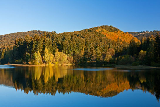 panthermedia_7507681_800x533_Talsperre.jpg